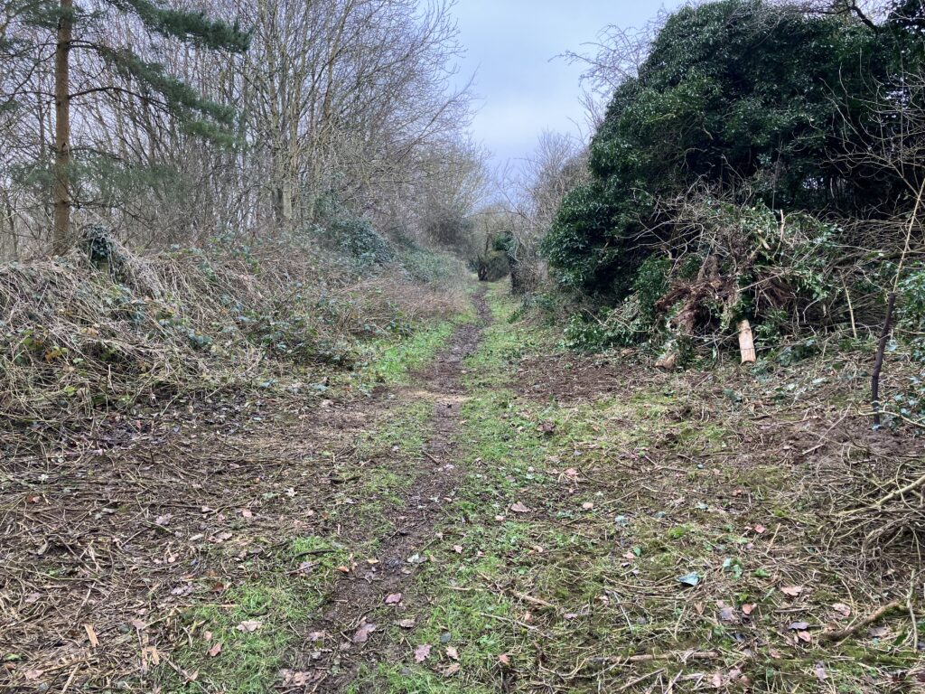 Conger Lane path