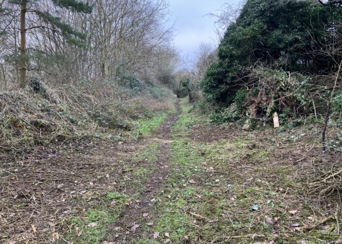 Conger Lane path Conger Lane path